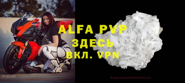 амф Ельня