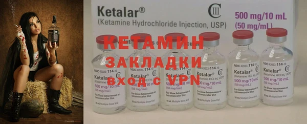 твердый Дмитровск