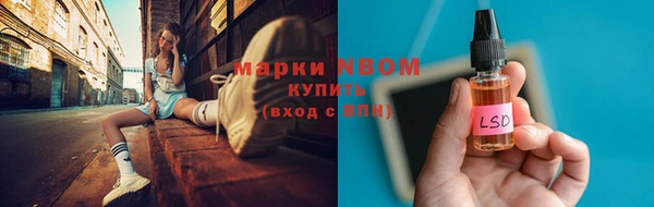 твердый Дмитровск