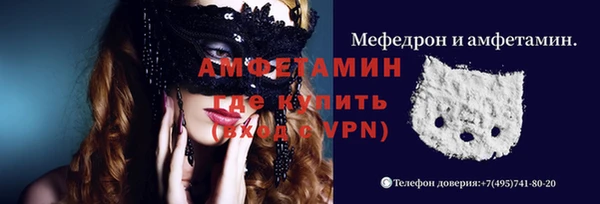 твердый Дмитровск
