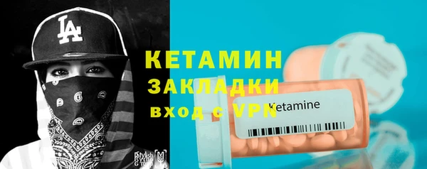амф Ельня