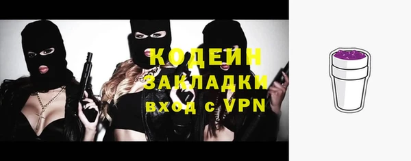 твердый Дмитровск