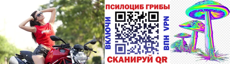Купить где  Очёр  Галлюциногенные грибы прущие грибы 